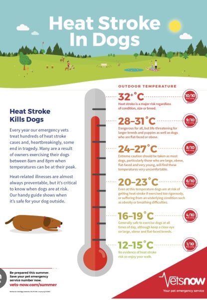 People are really mad about dogs and heat stroke?