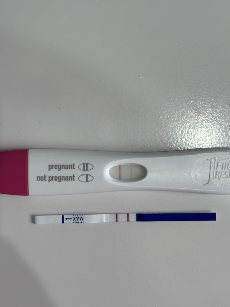 When do you stop testing ? Pregnancy after loss.