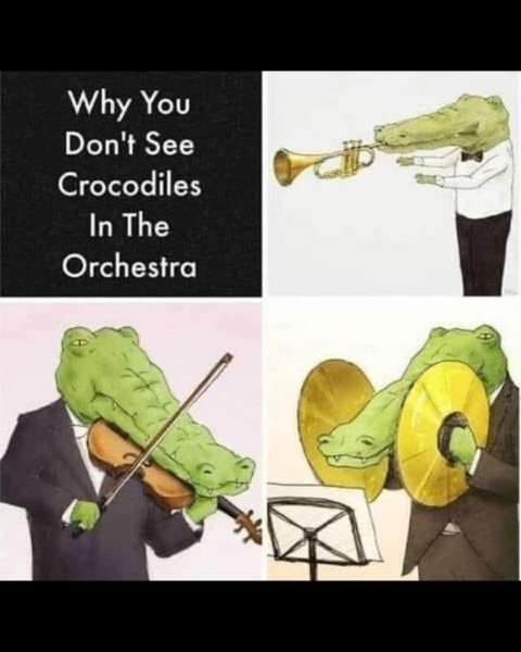 This made me howl laughing.  Anyone else heard a funny joke or seen a funny meme?