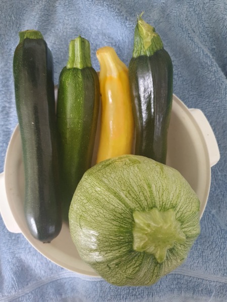 Why is this subforum so intent on removing voices that dont' agree?