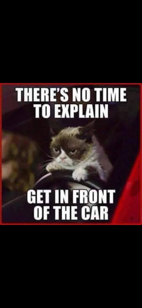 This made me howl laughing.  Anyone else heard a funny joke or seen a funny meme?