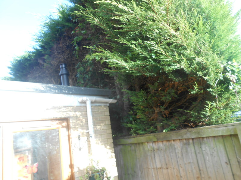 Neighbour not happy with my fence?