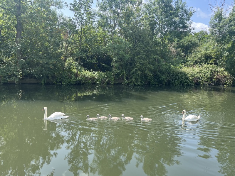 Anyone else sometimes get a wave of relief that they don’t have children?