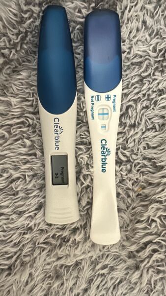 Due February 2026 ✨