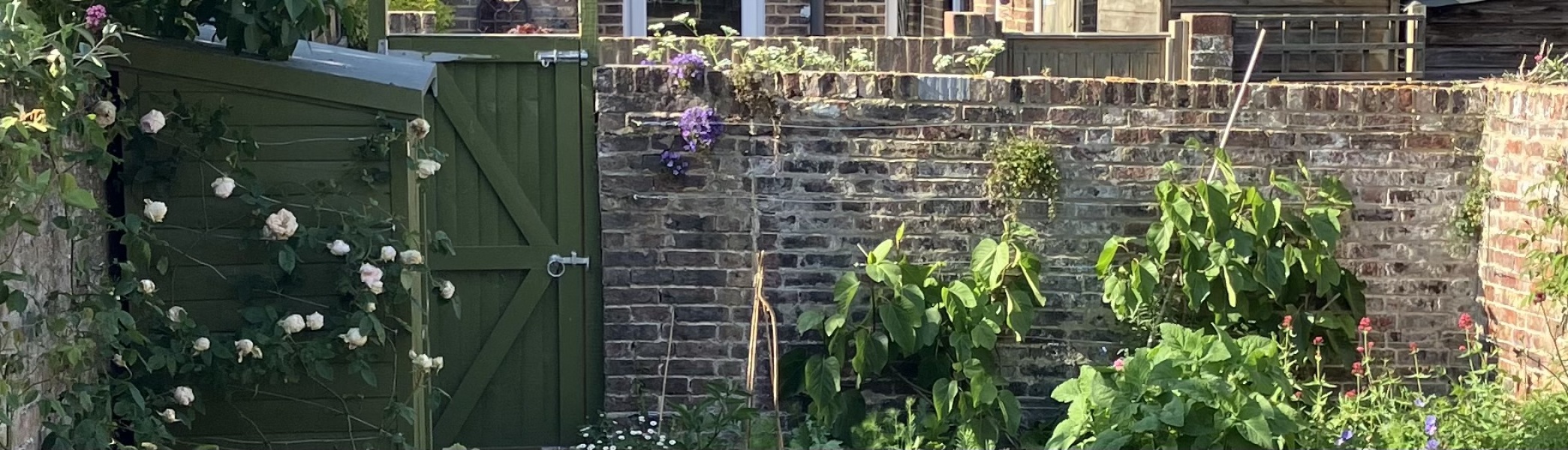 Genuinely upset at this wildflower destruction