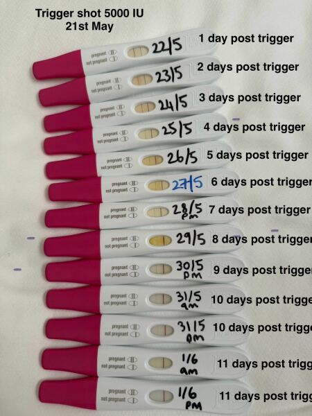 Trigger shot or pregnancy?