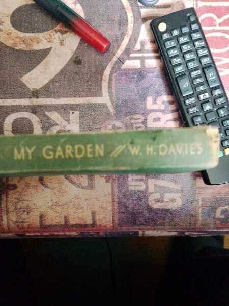 Roond and roond and up and doon - the Excellent Cats roam aboot