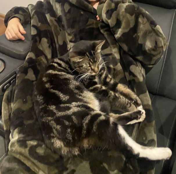 DH says cat needs to show more gratitude