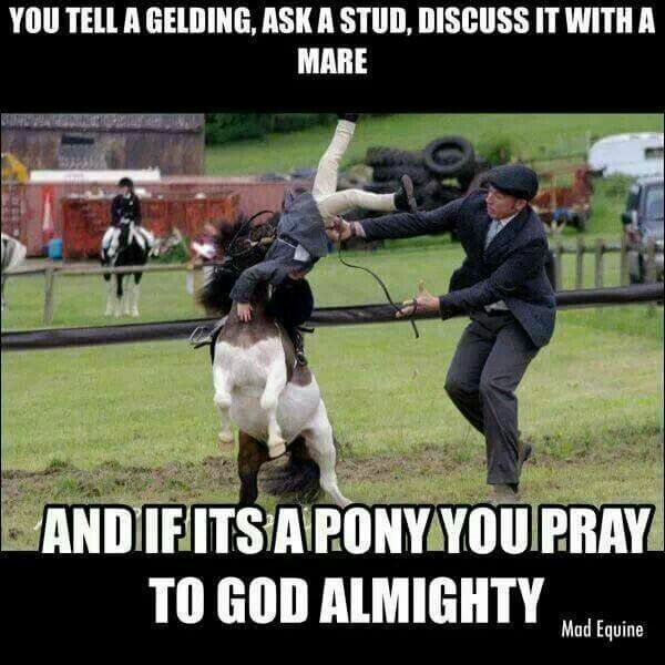 Really irritated with this girls mother.