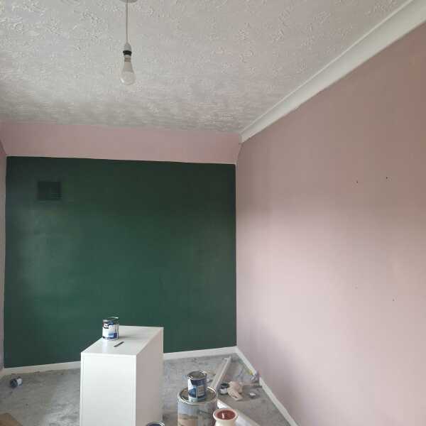 Would you paint this bit green or white? ( pic attached )
