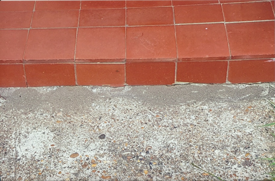 Are these ant mounds going to damage the house?