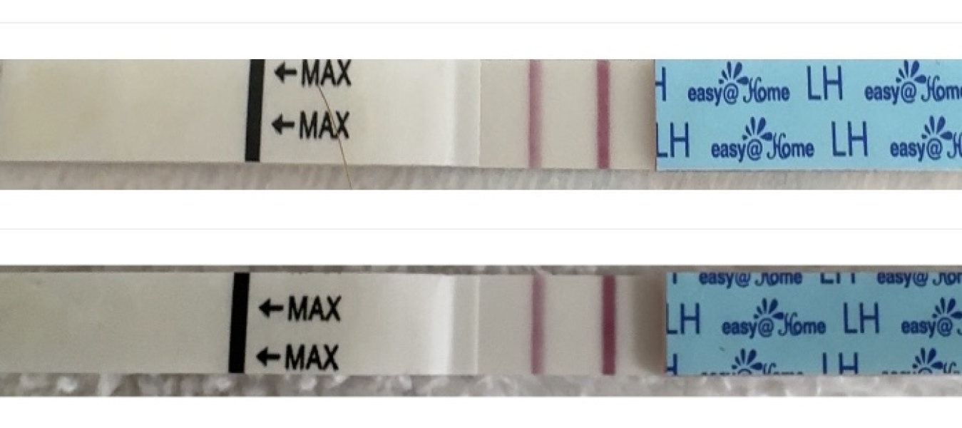 Ovulation test strips