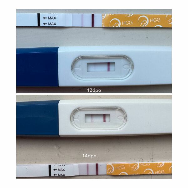 Due February 2026 ✨