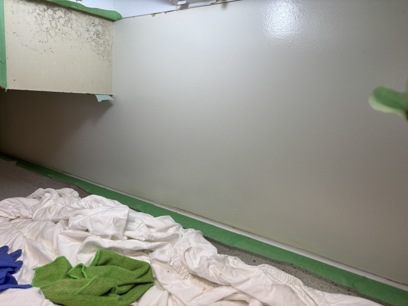 Daily Project round 7