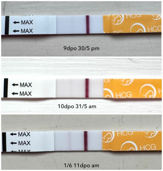 June 2025 TTC Support Thread