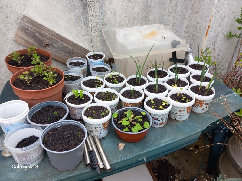 Any Witches Here? Part 21