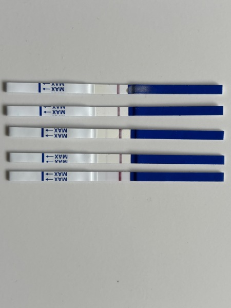 Progression psycho right here