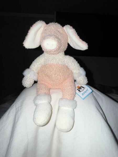 I think I missed the memo! What is the hype around ‘Jellycat’?