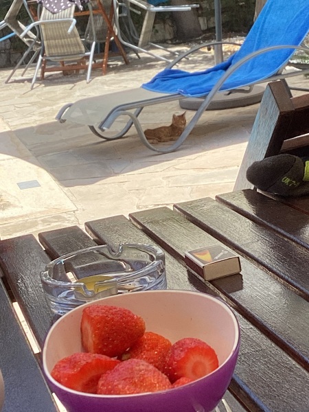 To burn the villa down