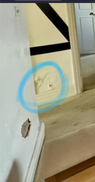 Can anyone spot anything wrong with this house on Rightmove?