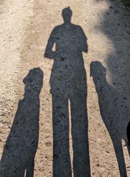 Adolescent Dog Survival Thread - for teenage dirtbags