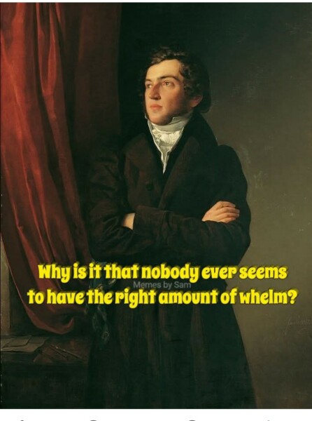 This made me howl laughing.  Anyone else heard a funny joke or seen a funny meme?