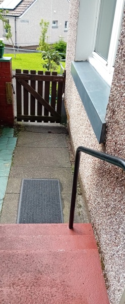 Roond and roond and up and doon - the Excellent Cats roam aboot