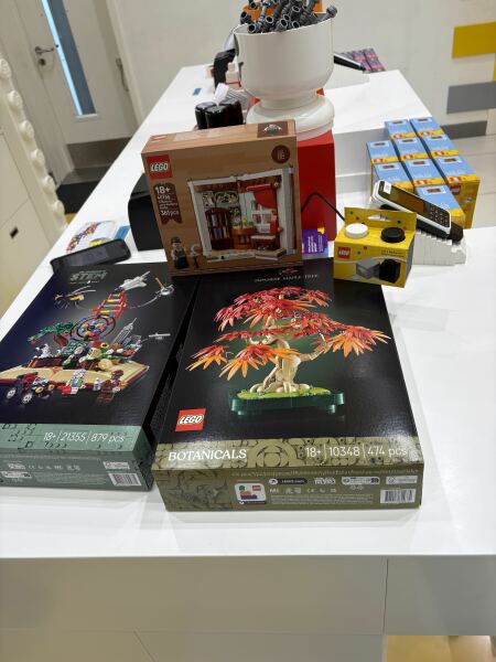 To show me your Lego collection?