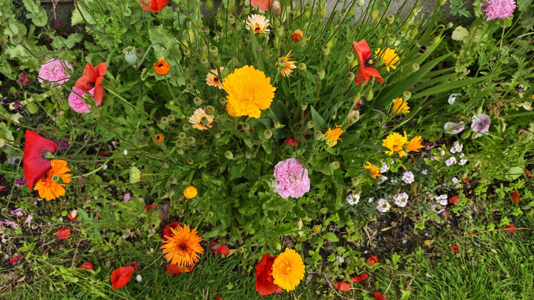 Is gardening outdated