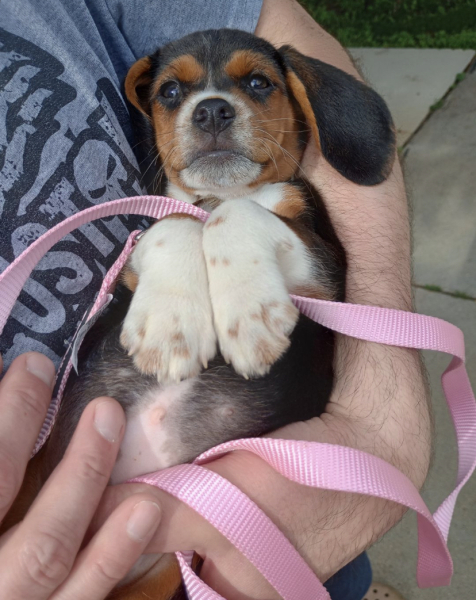 Help me name this little lady?
