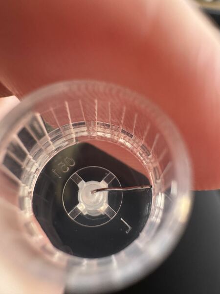 Auggies mj thread 15