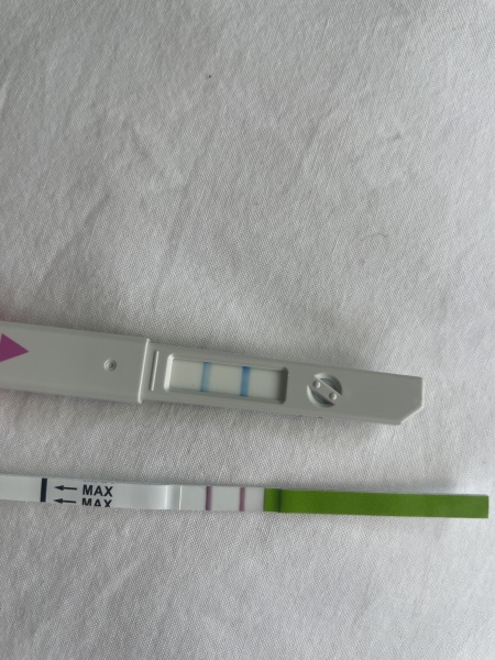 Positive OPK, BFN tests and no period