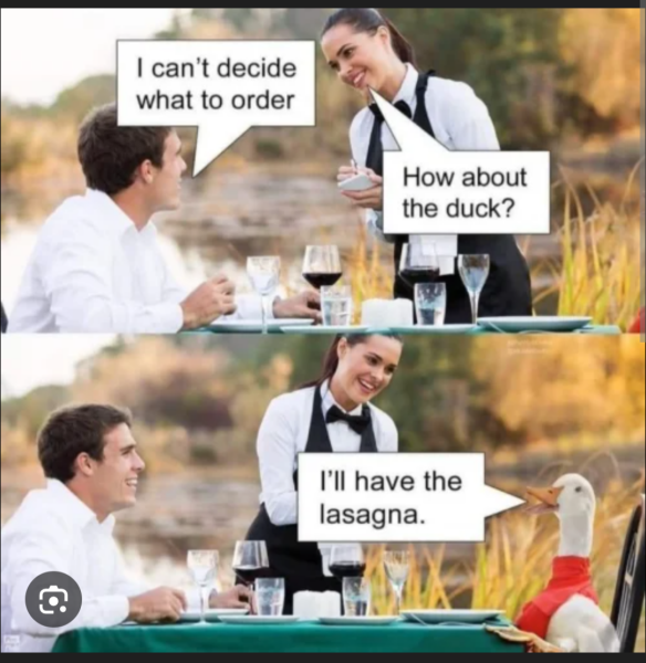 This made me howl laughing.  Anyone else heard a funny joke or seen a funny meme?