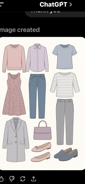 No/low buy 2025 shop from wardrobe