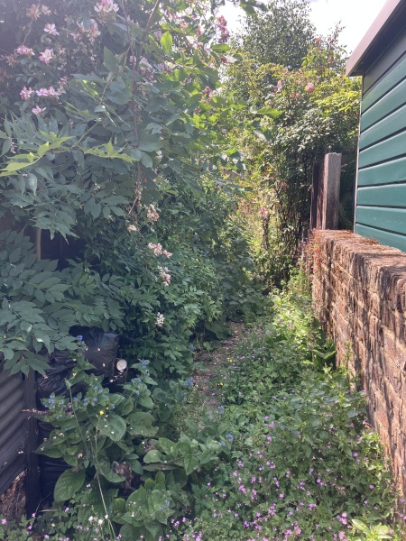 Genuinely upset at this wildflower destruction