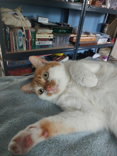 Thread 25 Starmer - Cheers for a falling out among thieves