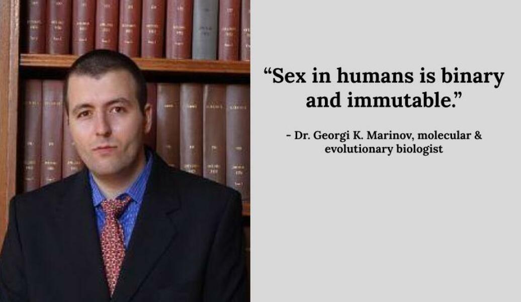 "We have always been here"