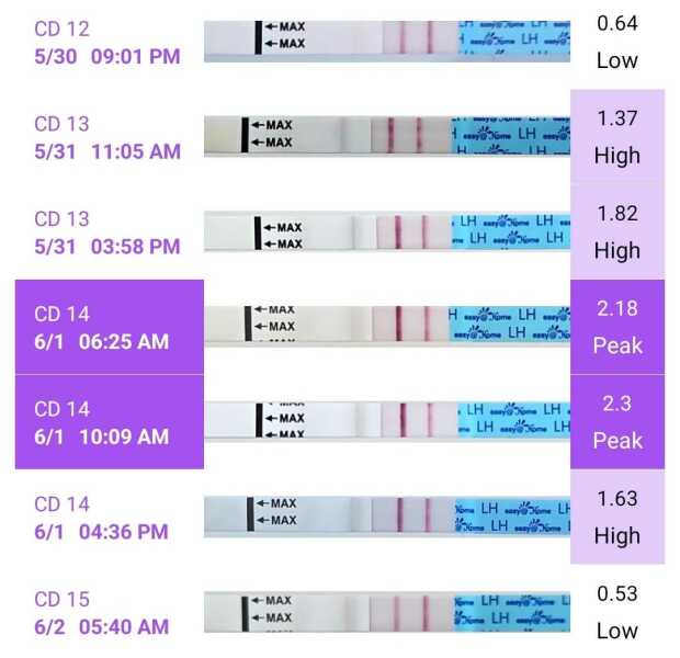 Tips on how to not test before missed period