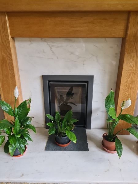 Would you open up the fireplace?