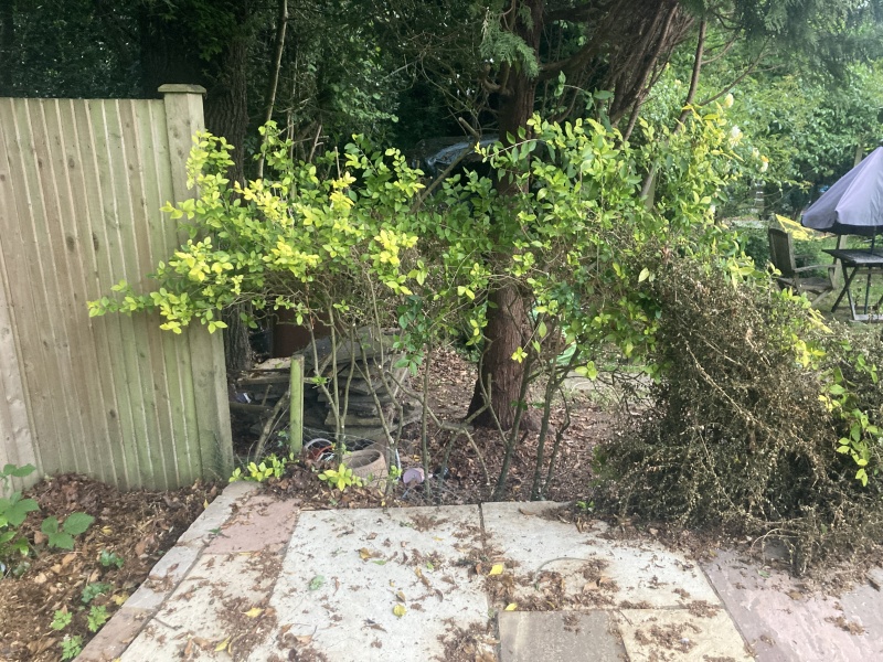 criminal damage from neighbour