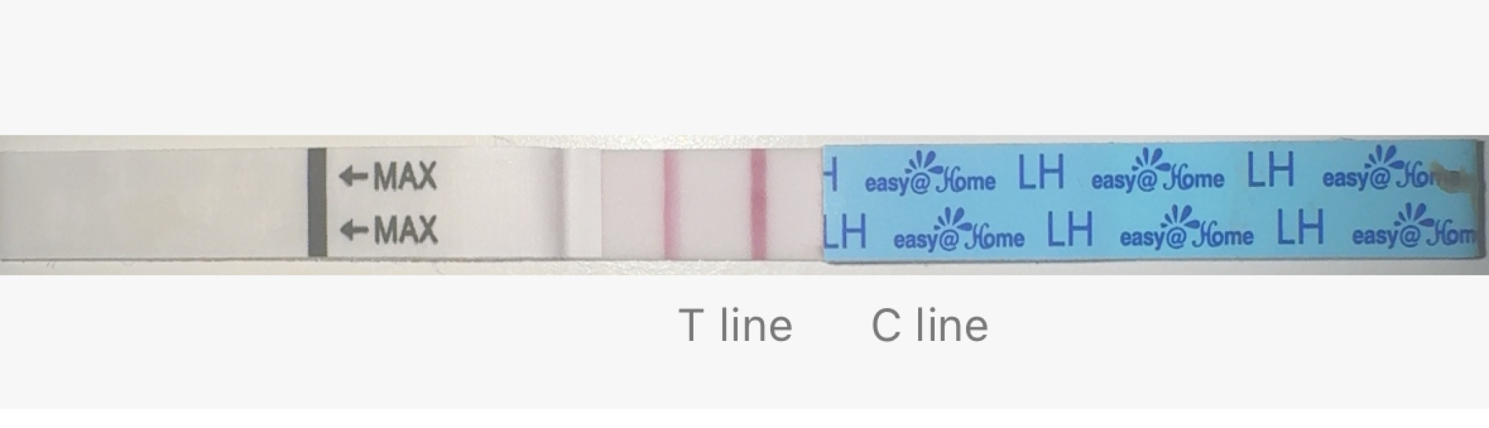 Ovulation test strips