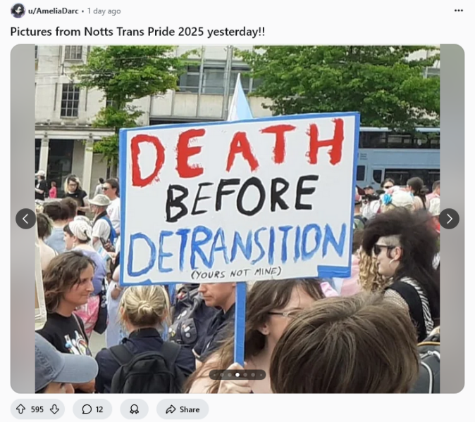 Nottingham Pride 2025 - the signs **MNHQ title tweak to point out this was the Notts Trans Pride as acknowledged in the thread**