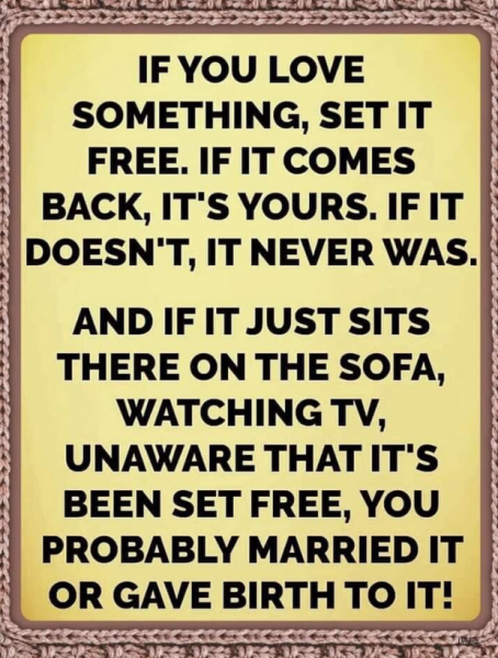 This made me howl laughing.  Anyone else heard a funny joke or seen a funny meme?