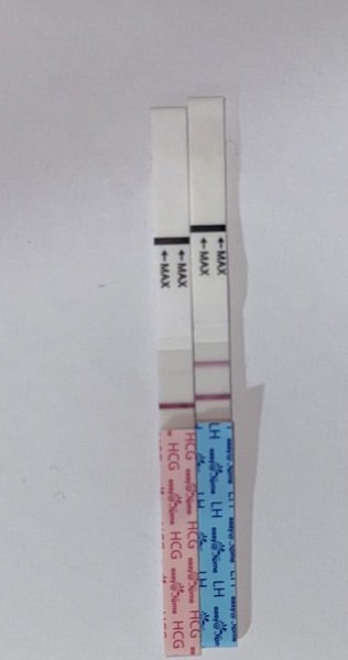 Positive pregnancy test??