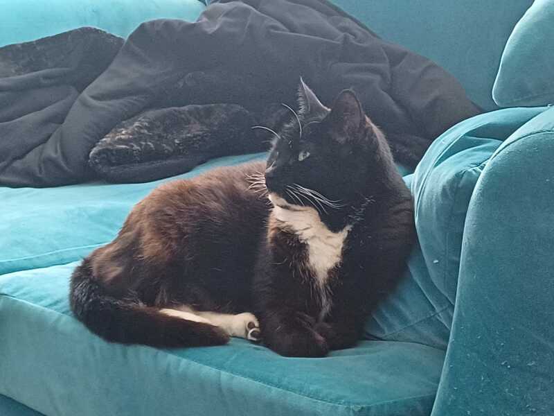 The Bluestocking Women’s Pub - Where Everybody Knows Your Username