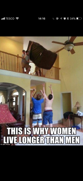 This made me howl laughing.  Anyone else heard a funny joke or seen a funny meme?