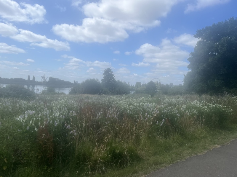 What do you LOVE to do in London?