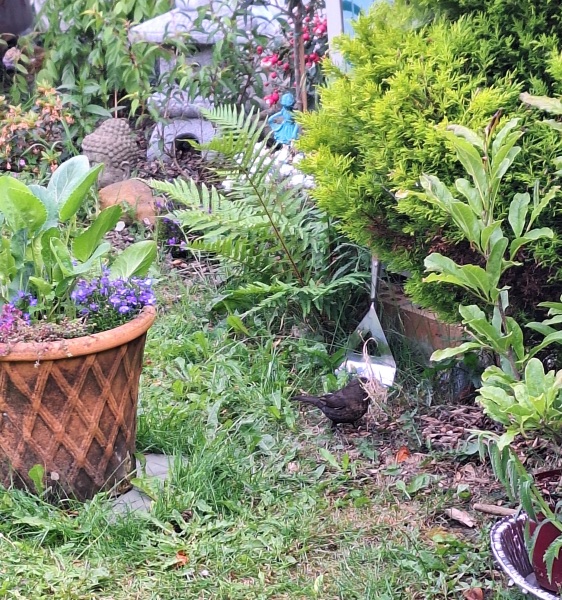 Year round Nigel Slater discussion thread Part 2