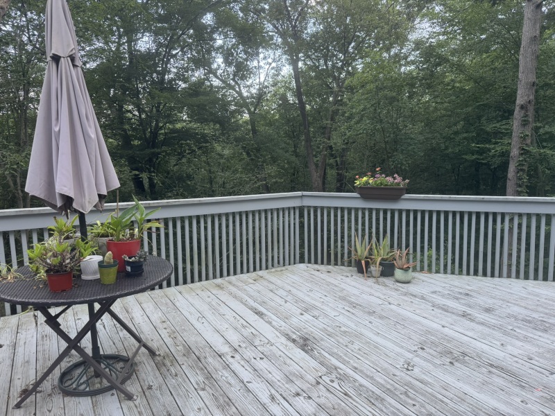 Come and tell us your dull and unexciting news 34: Calmly through the day