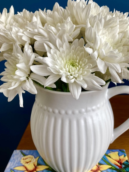 Thread 26 Starmer: Cats, Rebels and Orange Chaos